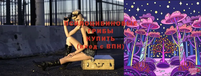 Псилоцибиновые грибы Cubensis  OMG вход  Советский 