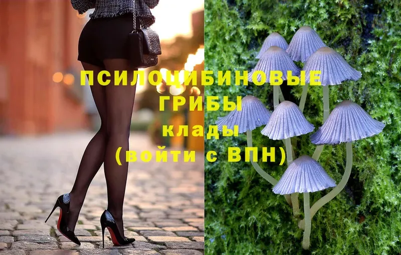 Галлюциногенные грибы MAGIC MUSHROOMS Советский